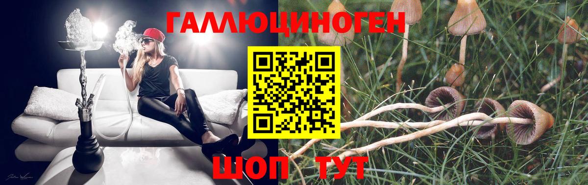 Набережные Челны  Псилоцибиновые грибы мухоморы  Вход с VPN 