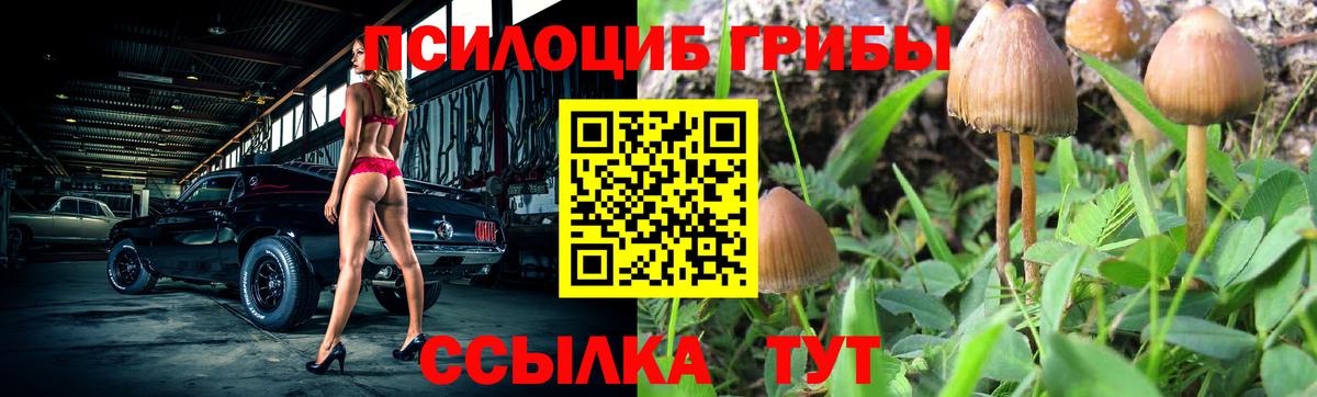 Галлюциногенные грибы ЛСД Набережные Челны